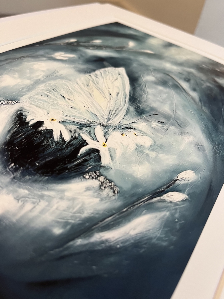 Limited Edition Print of ‘The Ice Butterfly’