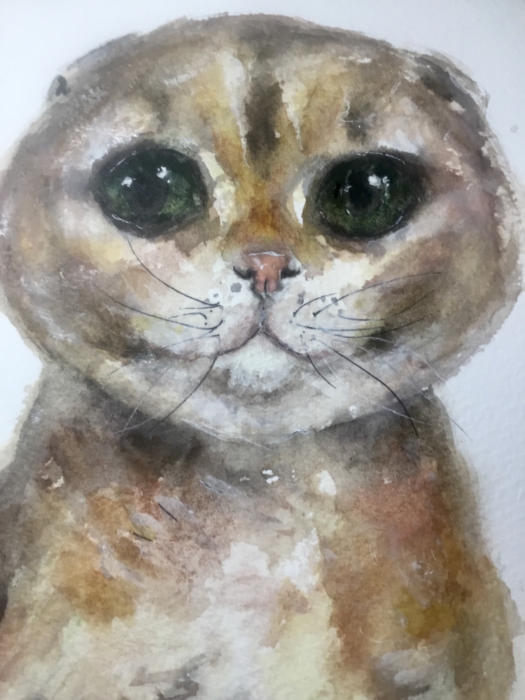 Scottish Fold Cat Original Watercolor – Hand-Painted Pet Portrait