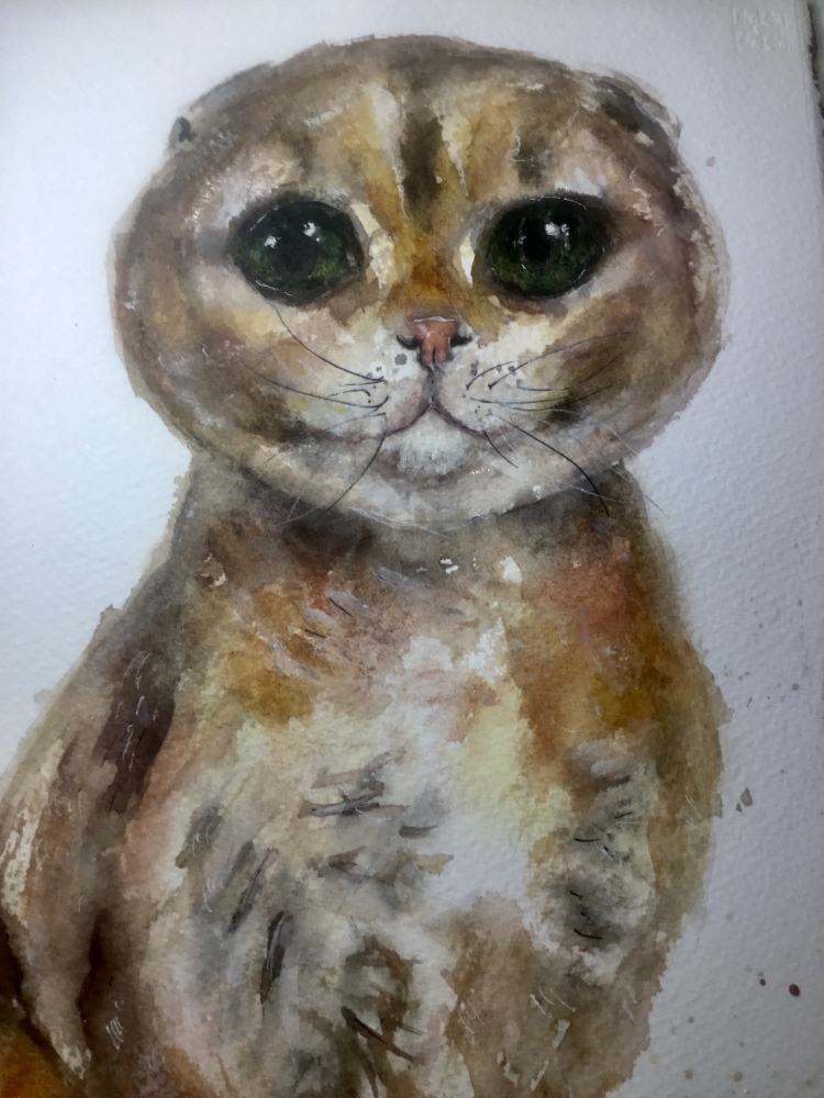 Scottish Fold Cat Original Watercolor – Hand-Painted Pet Portrait