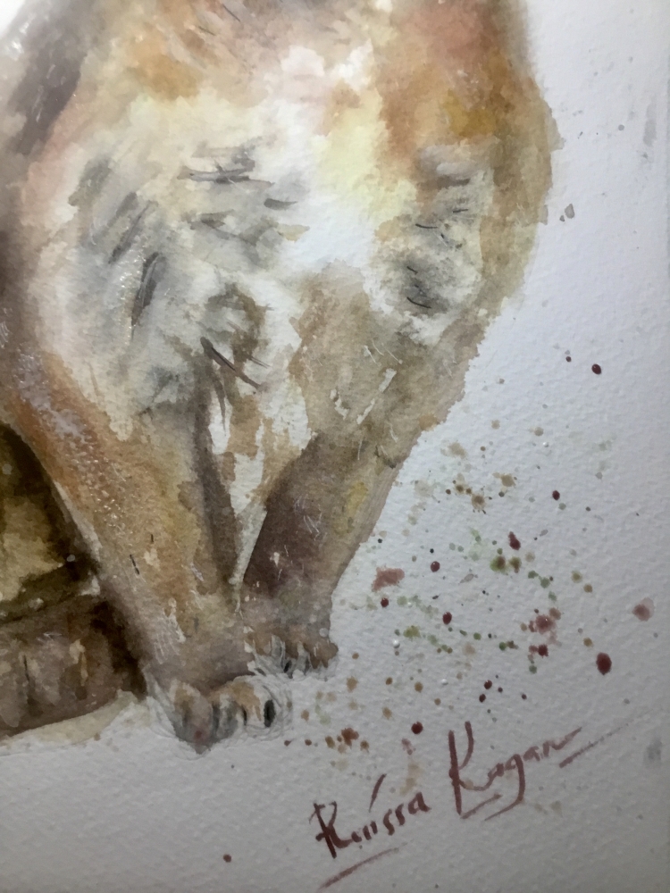 Scottish Fold Cat Original Watercolor – Hand-Painted Pet Portrait