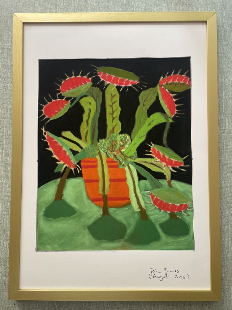 The Venus Fly Trap