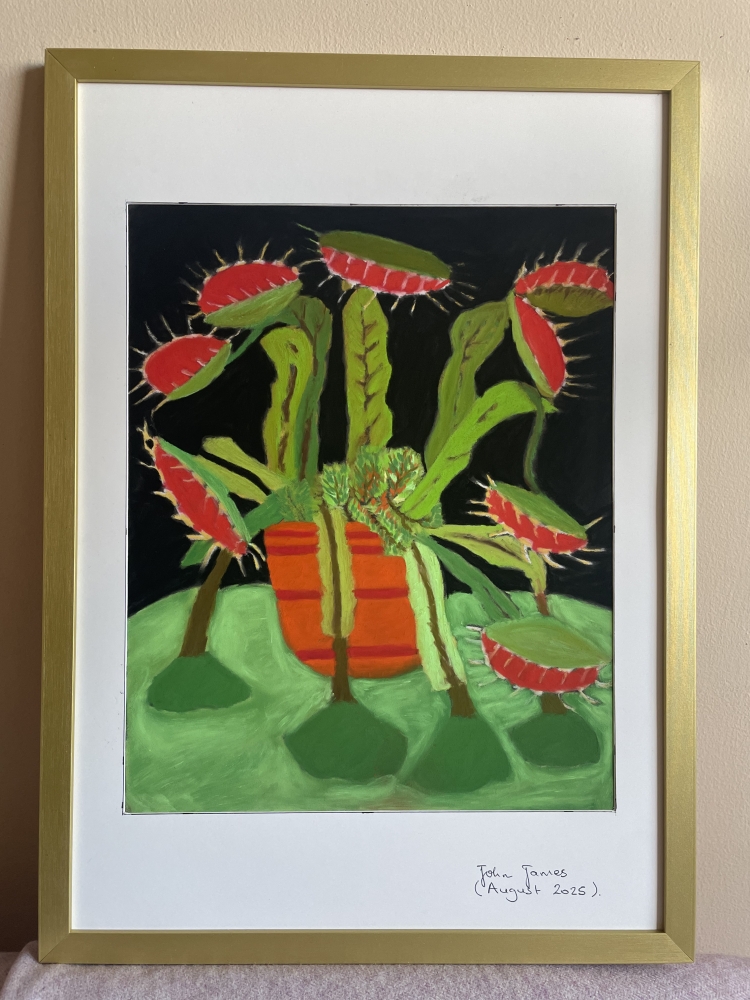 The Venus Fly Trap