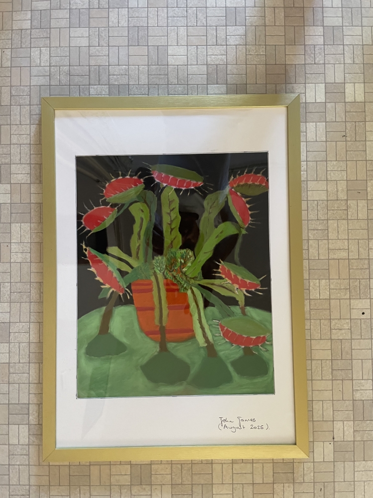 The Venus Fly Trap