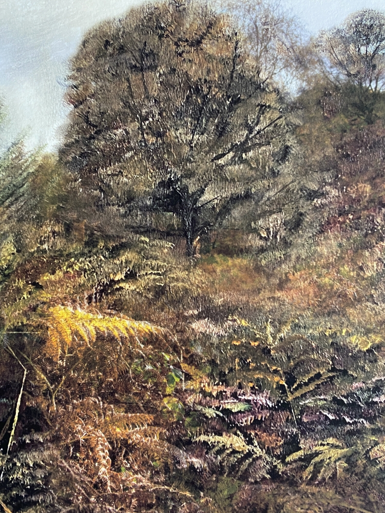 Autumn Colours