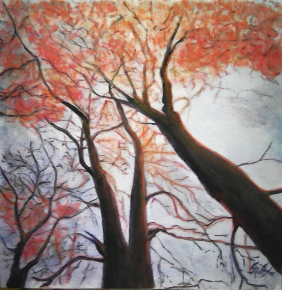Autumn tree tops