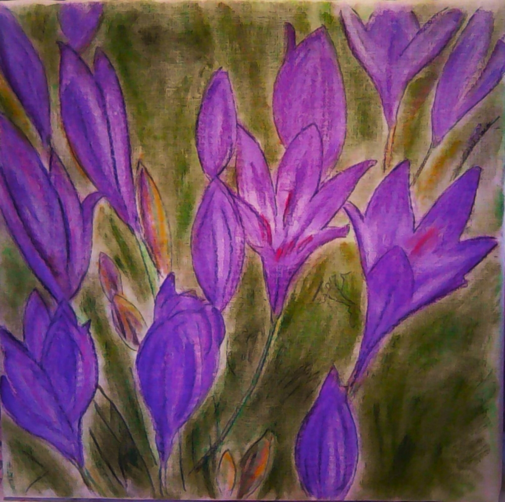 Crocus Crowd
