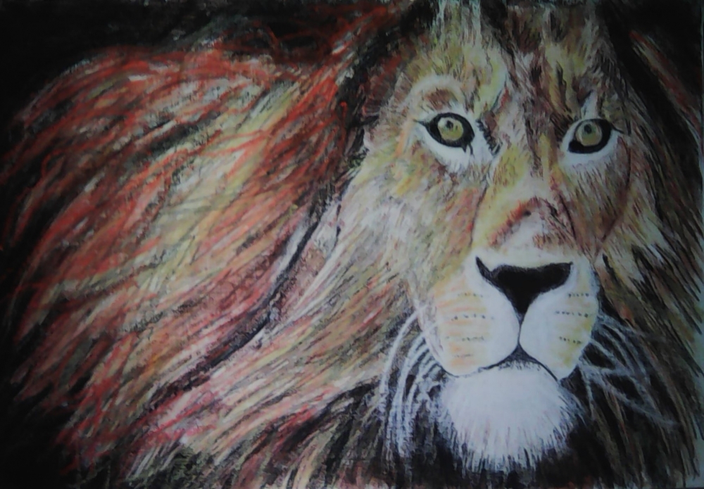 Lion Heart