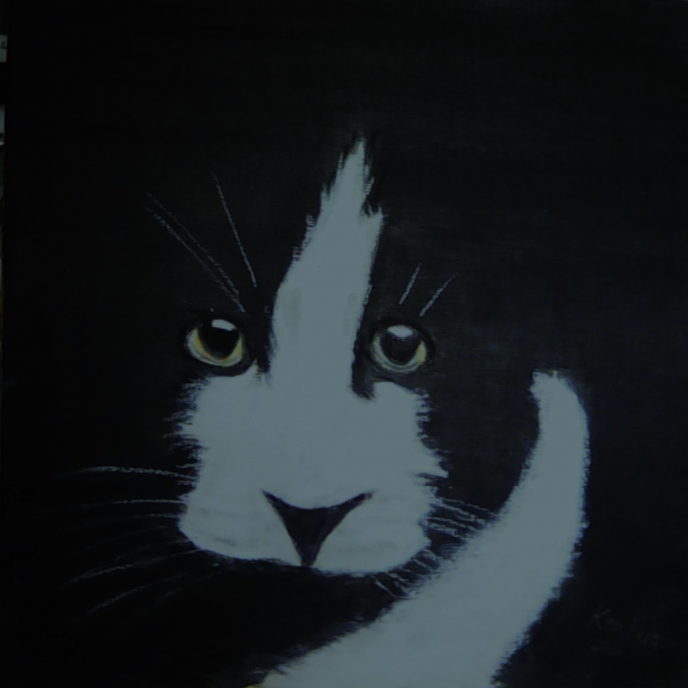 Nine Lives
