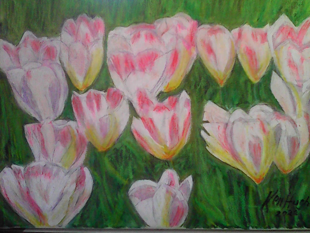 Tulip Treat.
