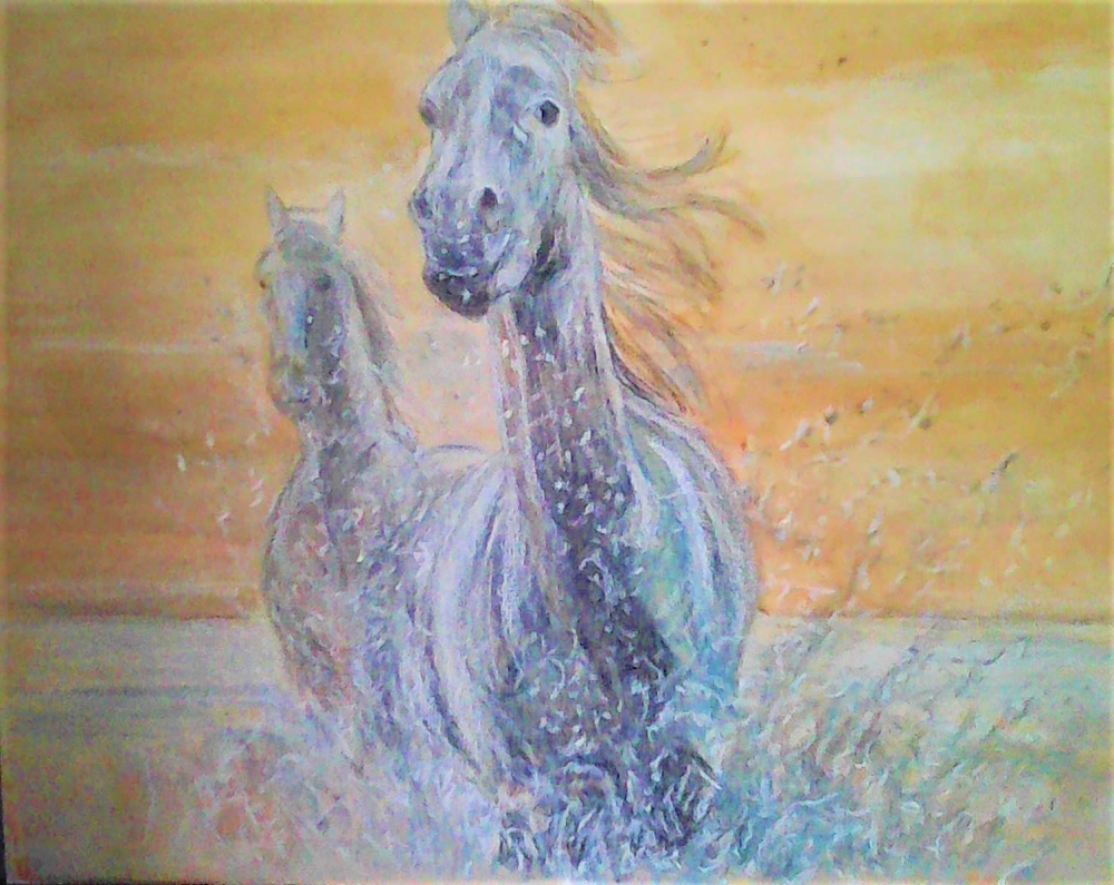 Sea Horses