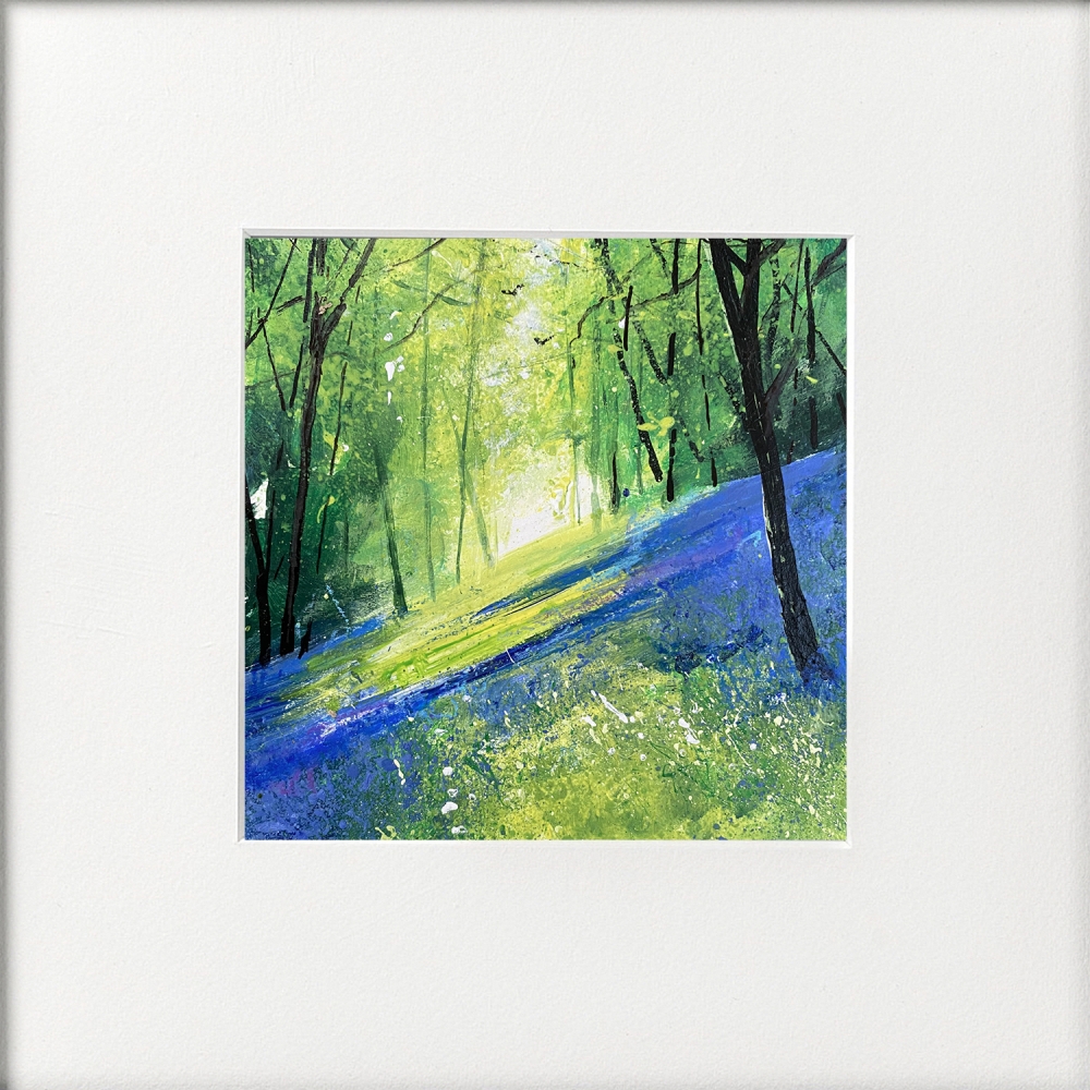 4 Bluebell woodland views