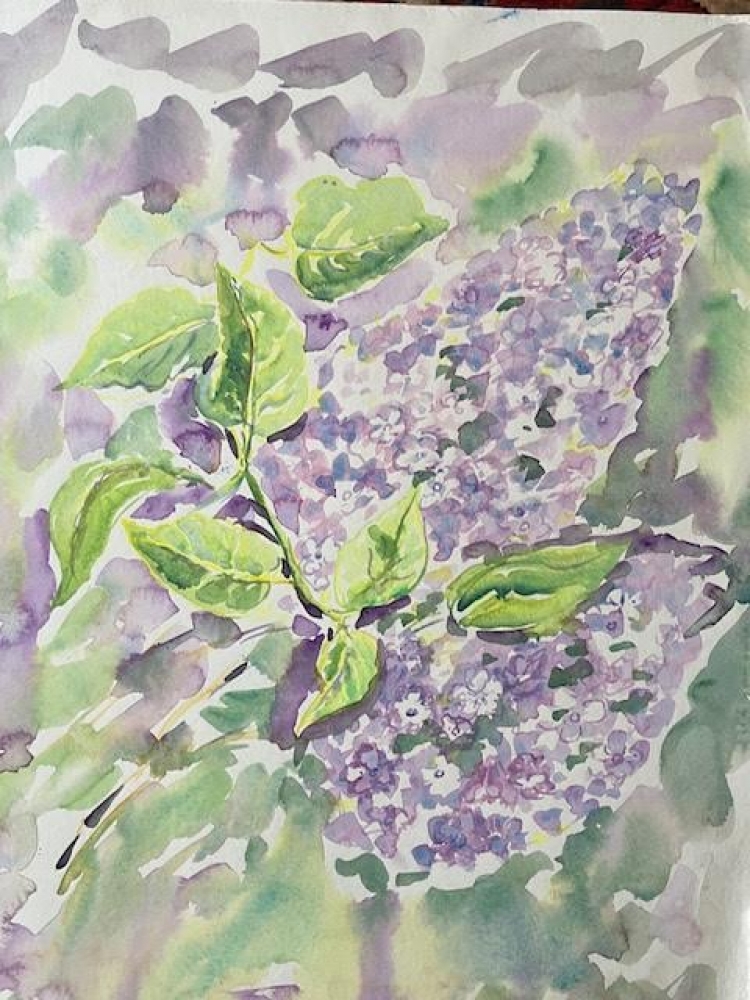 'Lilac'