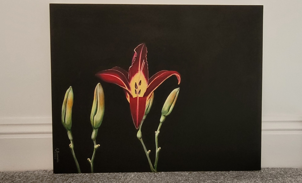 Lily flower