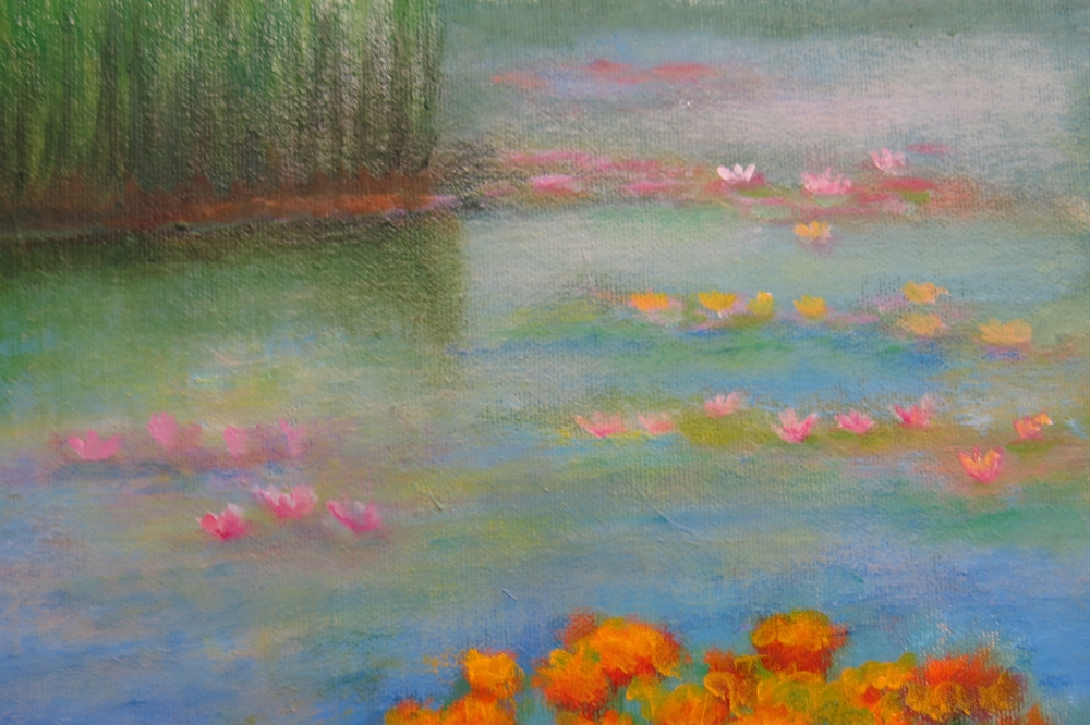 Lily Pond
