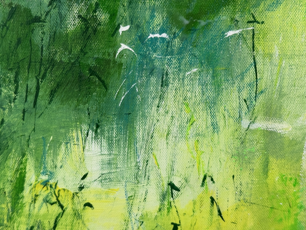 Misty Spring Woodland