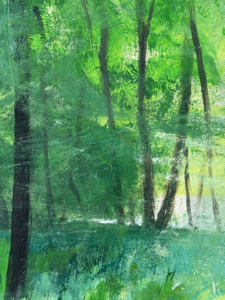 Misty Spring Woodland