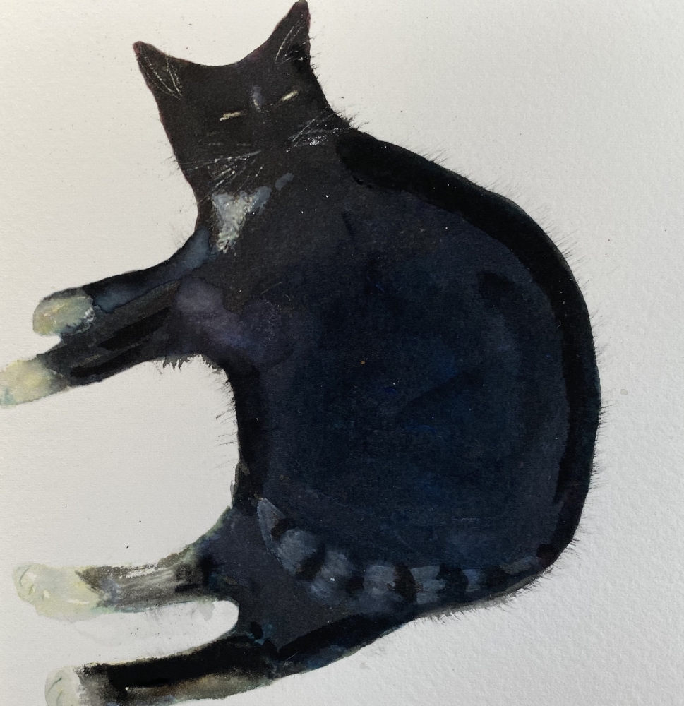 Two black cats framed