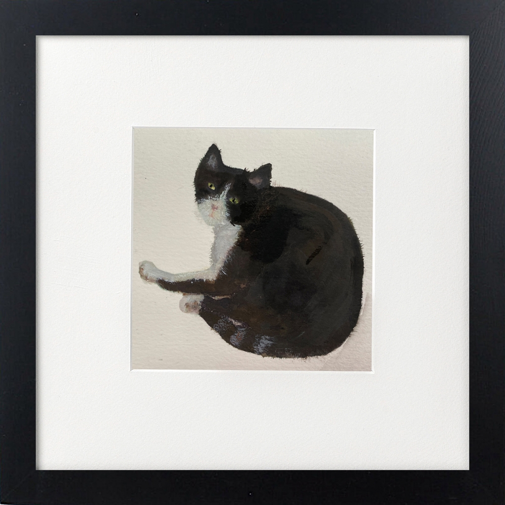 Two black cats framed
