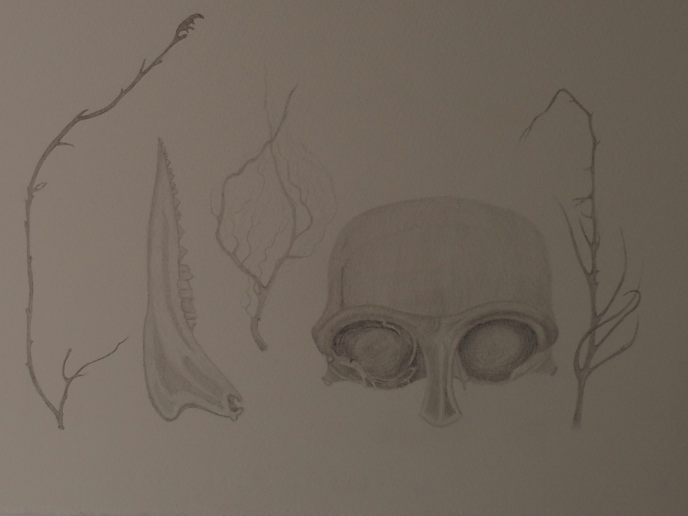 Bones, Root, Twigs.