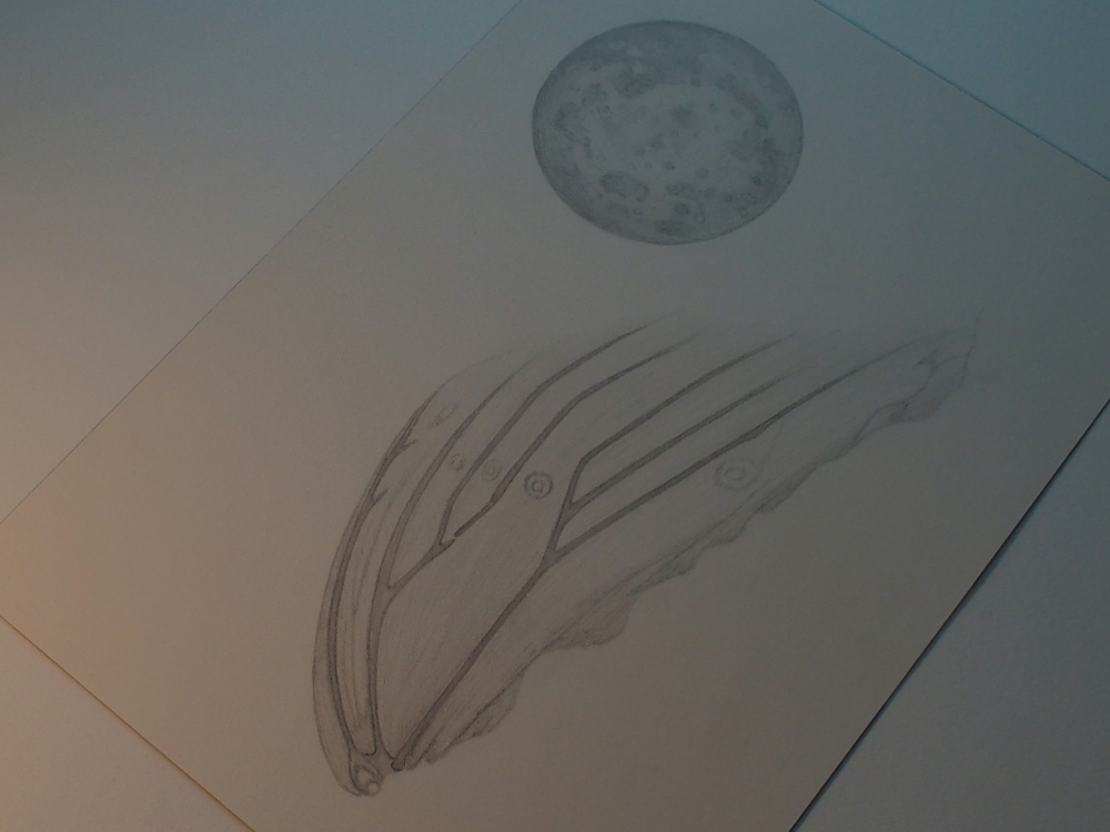 Moon and Wing