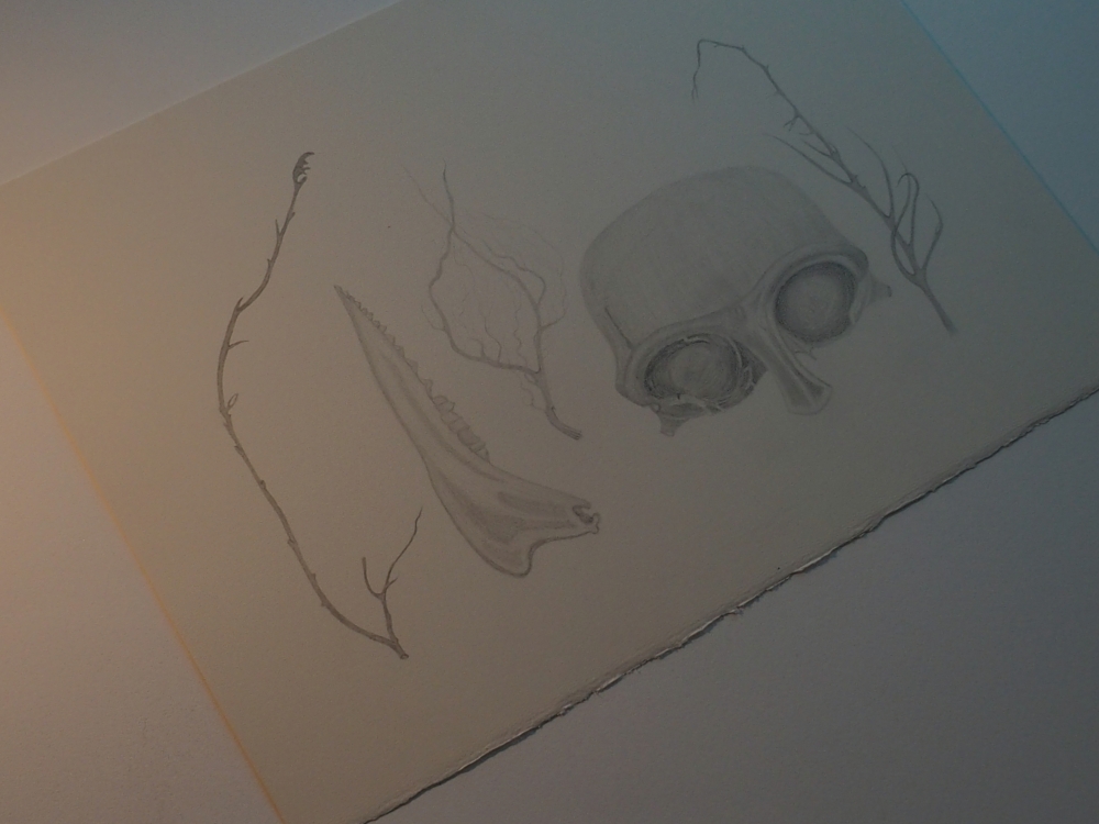 Bones, Root, Twigs.