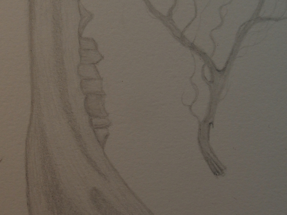 Bones, Root, Twigs.