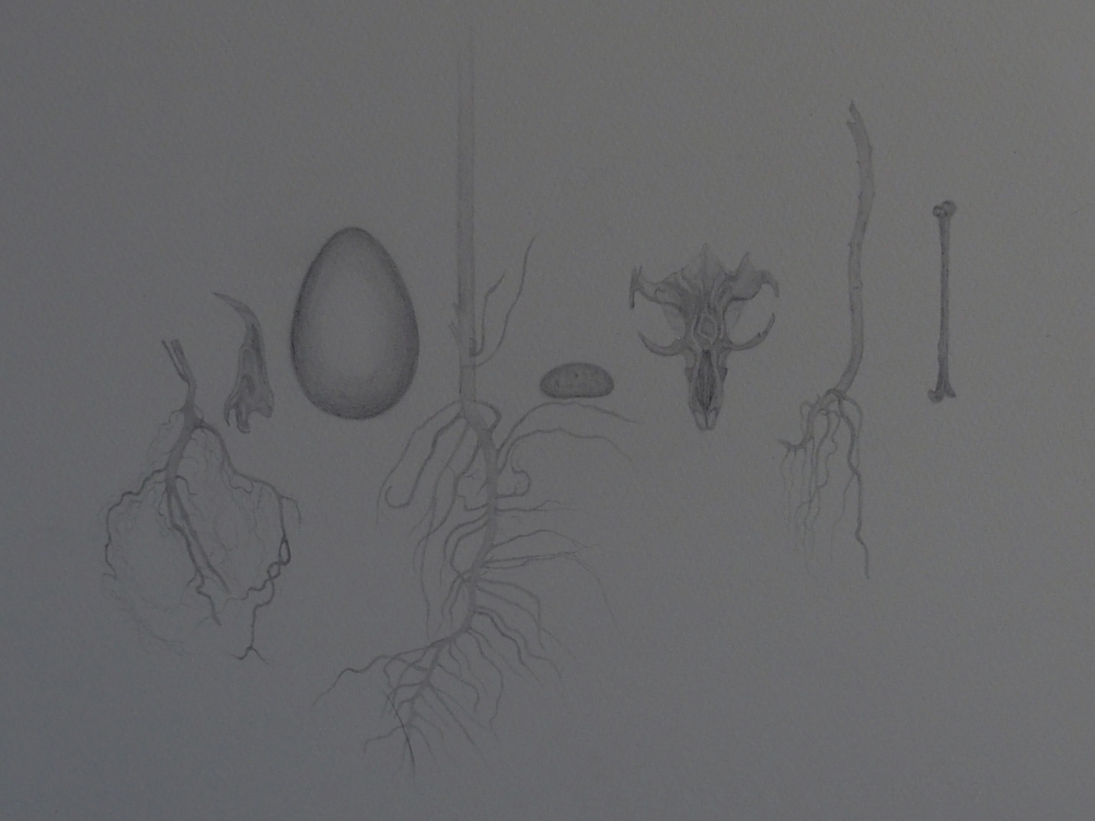 Roots, Egg, Bones.
