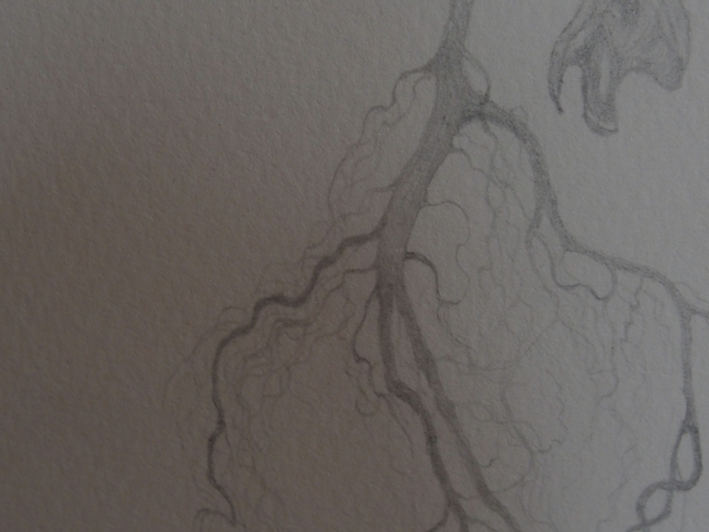 Roots, Egg, Bones.