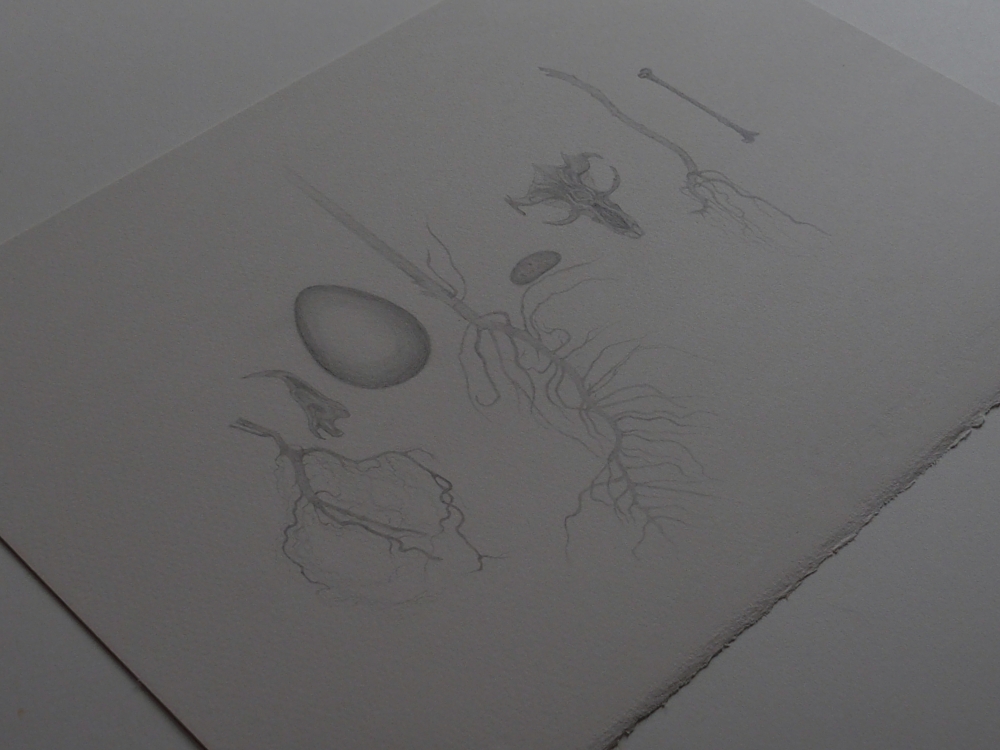 Roots, Egg, Bones.