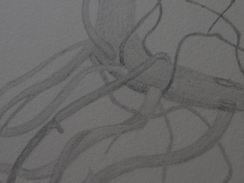 Root.