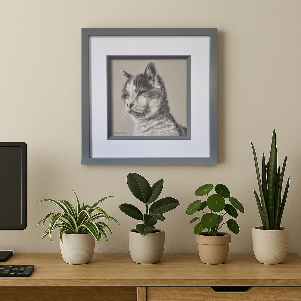 Pebbles - Framed cat portrait drawing