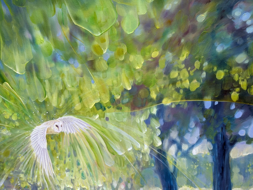 Possibilities Unfold