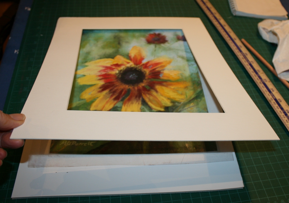 Sunflower 2