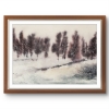 Whispers in the snow