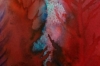 Red and Blue Trees 