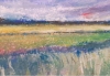 View of the Cornfield