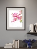 Bougainvillea Dream #2