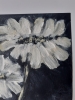 Black and white flowers
