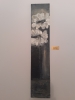 White flowers in black vase (1)