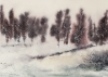 Whispers in the snow
