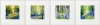 4 Bluebell woodland views