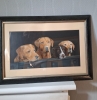 Team working dogs