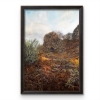 Autumn Colours