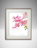 Bougainvillea Dream #2