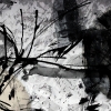 A Look Inside - Diptych