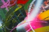 Abstract Expressionism Missing In Action