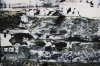 Abstract Fractured Black White Gray 5407