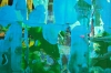 Abstract Fractured Multicoloured 5480