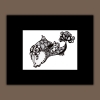 Black and White Abstract Fish Drawing with Floral Details, Matted