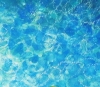 Wild wqter swimming-4
